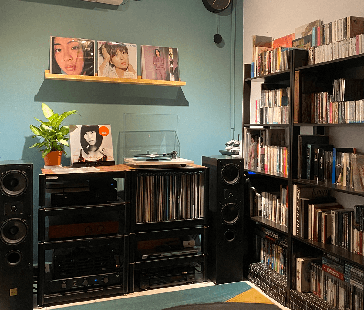 vinyl